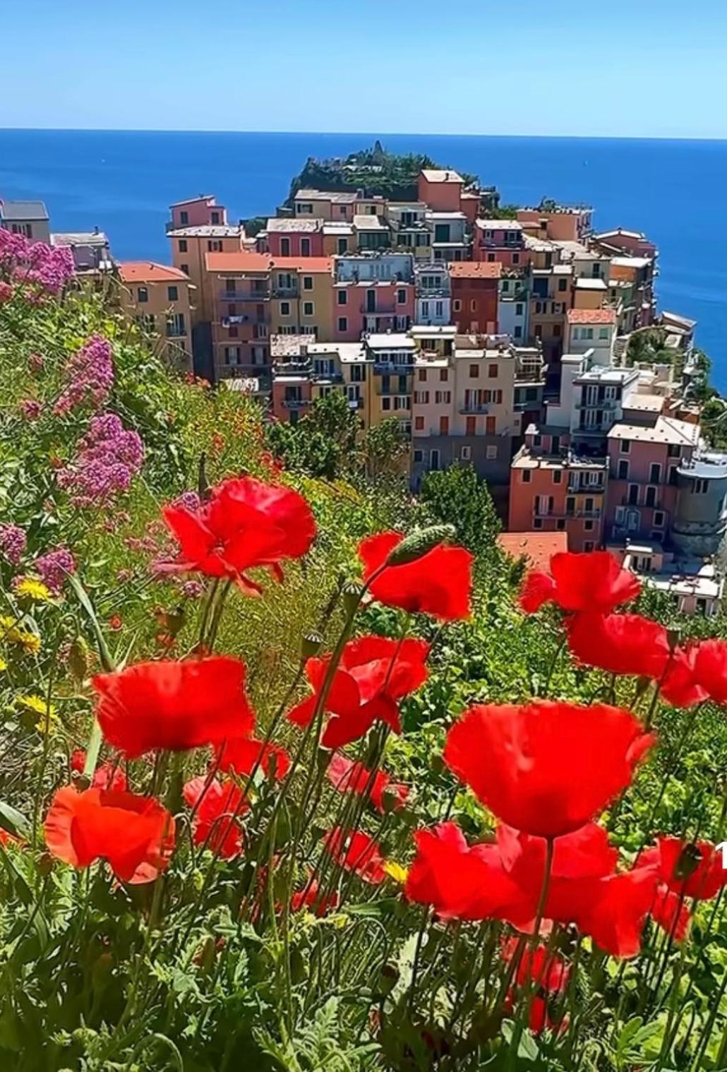 Casa Nori